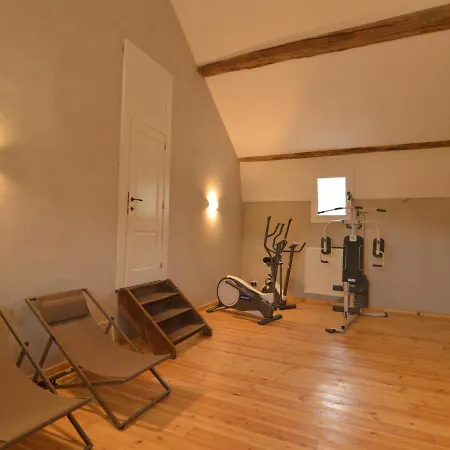 Lavish Castle With Sauna And Gym Holiday home Tharoul