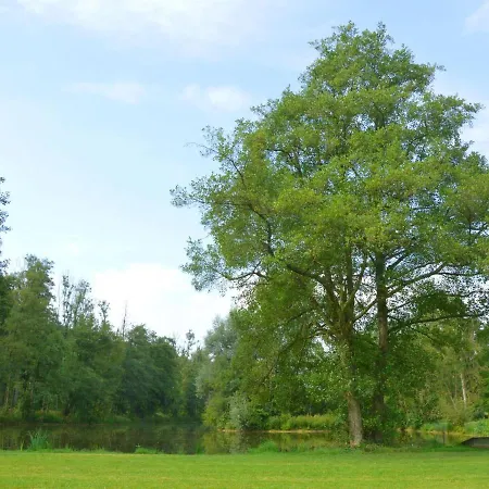 Vakantiehuis Marchin Castle With Sauna *
