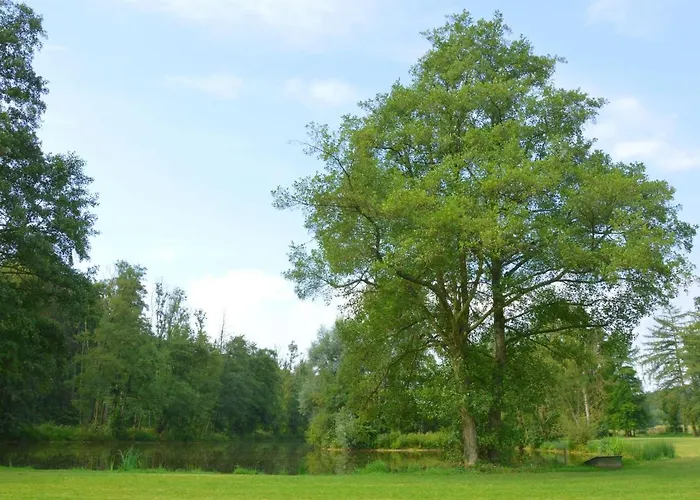 Tatil Evi Marchin Castle With Sauna *